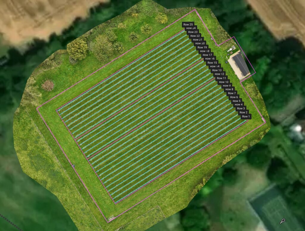 Blocks & Rows