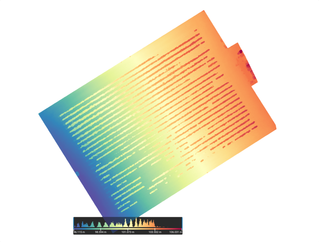 Digital Surface Model