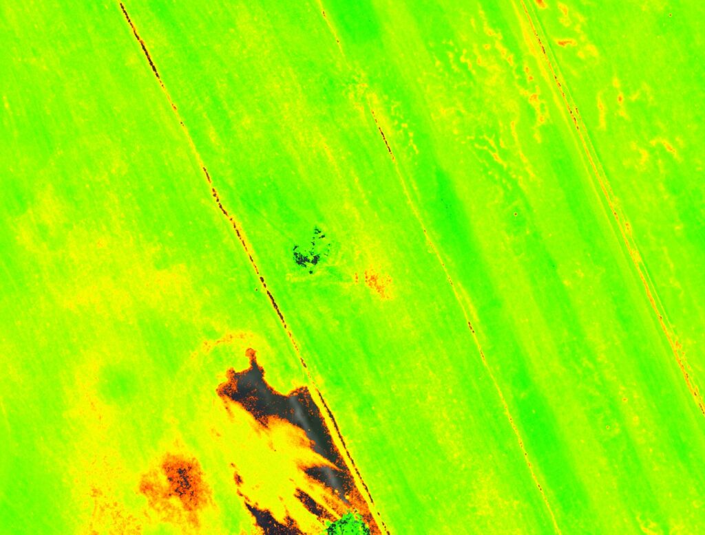 NDVI